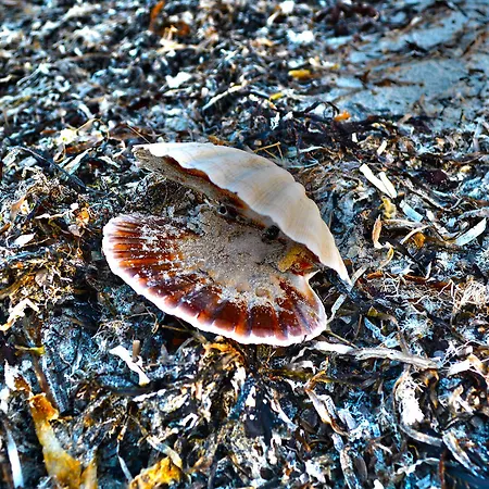 Connemara Sands & Отель