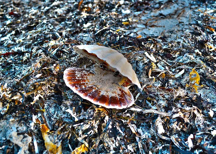 Connemara Sands & Отель