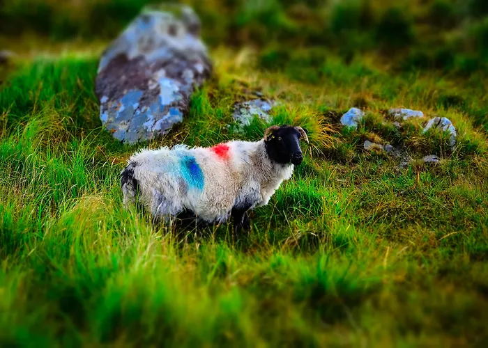 Connemara Sands & Отель